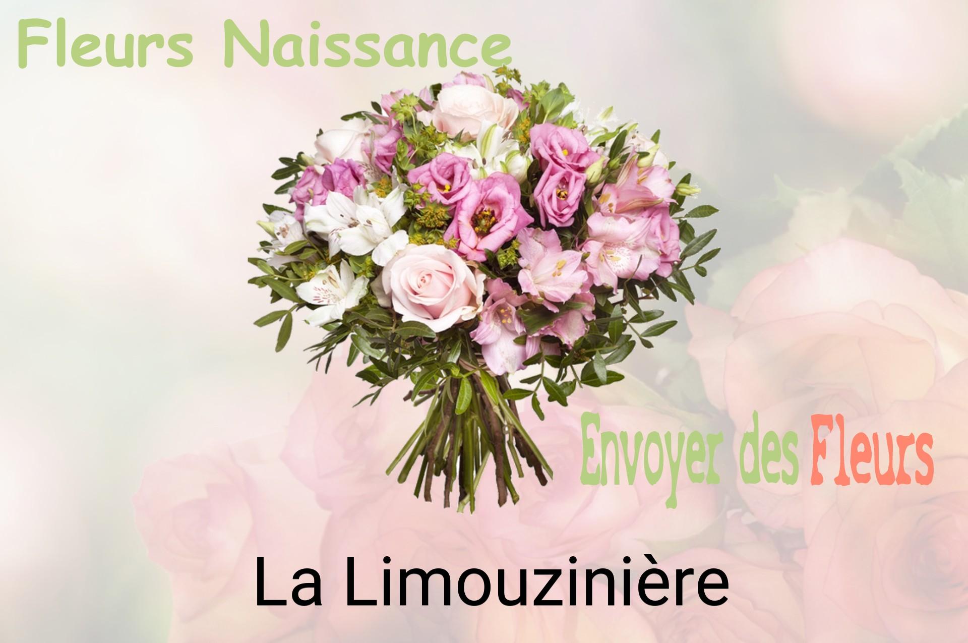 Bouquet de fleurs de naissance livré à La Limouzinière